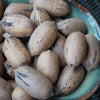 Cherryle Pecans (In Shell)