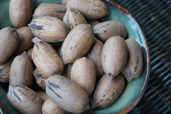 Cherryle Pecans (In Shell)