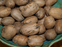 Jackson Pecans (In Shell)